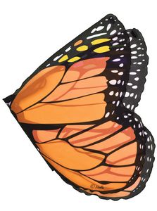 Orange Monarch Wings