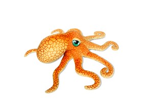 Orange Octopus