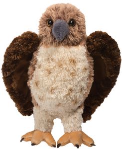 Orion Red-Tailed Hawk