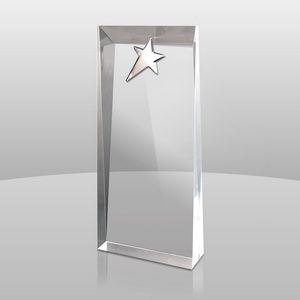 Palisade Award (8"x3 1/4"x1 3/4")