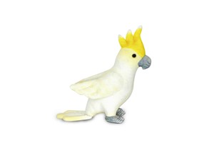 Parakeet