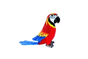 Parrot
