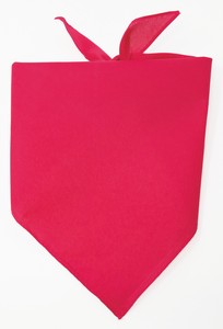 Personalized Large Red Triangle Pet Bandana