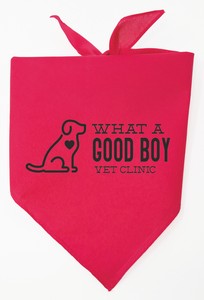 Personalized Large Red Triangle Pet Bandana