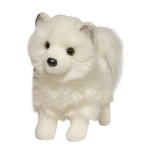 Phoebe Pomsky