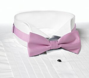 Pink Banded Bow Tie