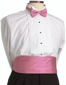 Pink Cummerbund