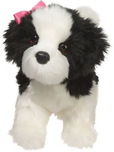 Poofy Shih-Tzu