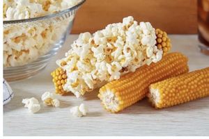 Popping Corn Cob Gift Pack
