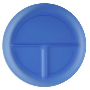 Portion Plate