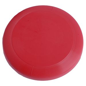 Professional Frequent Flyerâ„¢ (9")