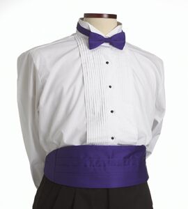 Purple Cummerbund
