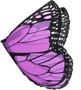 Purple Monarch Butterfly Wing