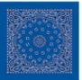 Qtees Paisley Bandanna