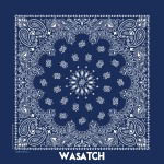 Qtees Paisley Bandanna