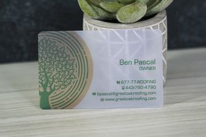 Quick Translucent Plastic Business Cards
