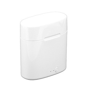 "RILEY" Wireless Earbuds in Charging Case