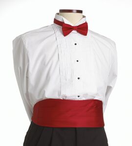 Red Cummerbund