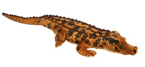 Red Komodo Dragon