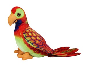 Red Parrot