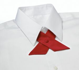 Red Polyester Satin Crossover Tie