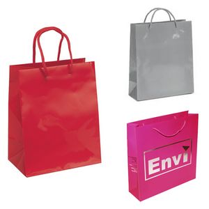 Reusable Gloss Laminated Paper Gift Bag
