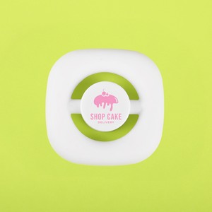 Revolve Fidget Spinner