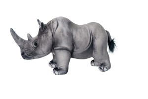 Rhino