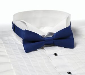 Royal Blue Banded Bow Tie