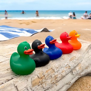 Rubber Duck