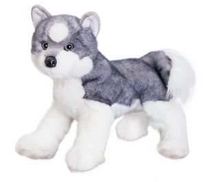 Sasha Husky