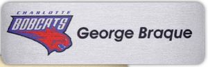 Savannah Express Metal Name Badge (Standard Size 1" x 3")