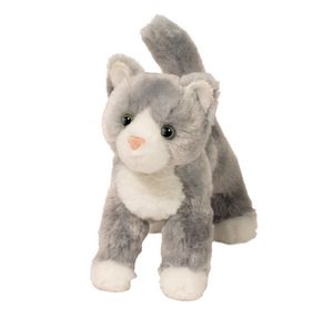 Scatter Gray Cat