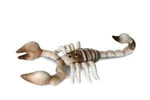 Scorpion