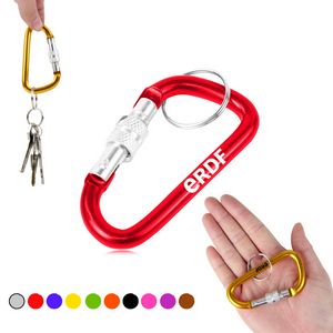 Screw Lock D Hung Carabiner Keyring