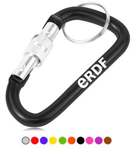 Screw Lock D Hung Carabiner Keyring