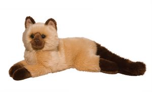 Sebastian Himalayan Cat