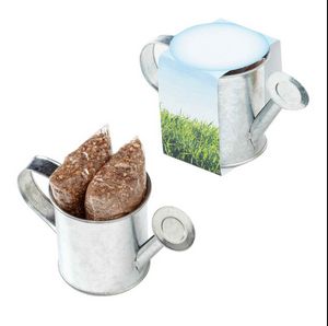 Seed Sensations Watering Can Planter