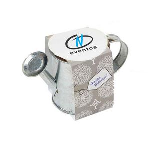 Seed Sensations Watering Can Planter w/Holiday Wrapper