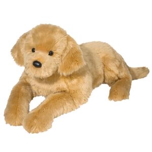 Sherman Golden Retriever