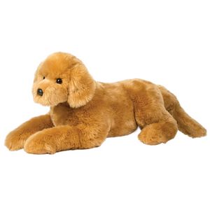 Sherman Golden Retriever