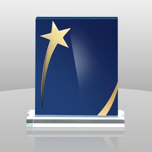 Shining Star Award (9"x6"x2")