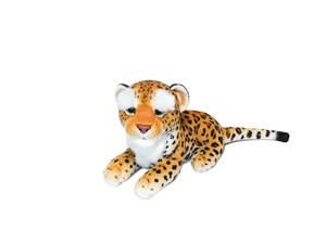 Sitting Leopard with Bushy Eyebrows