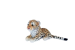 Sitting Leopard