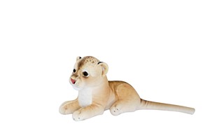 Sitting Lion