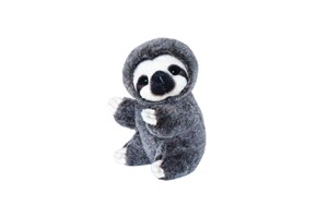 Sloth