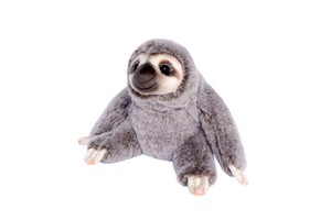 Sloth