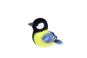 Small Black and Yellow Parus