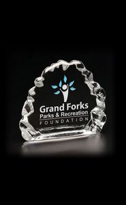 Small Iceberg Award