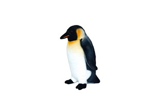 Small Penguin
